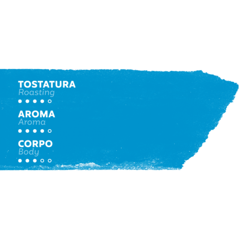 Trucillo Coffee 500g / 1.1 lbs Deca Bar Espresso Beans