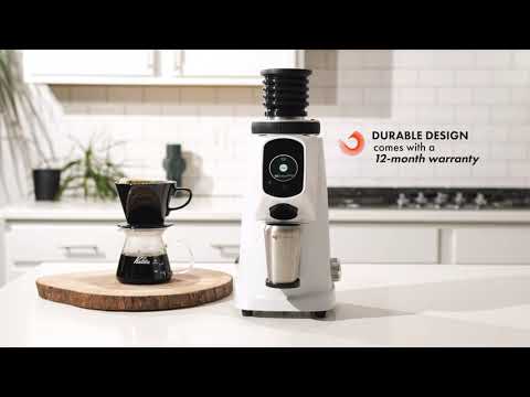 Fiorenzato ProBrew Coffee Grinder